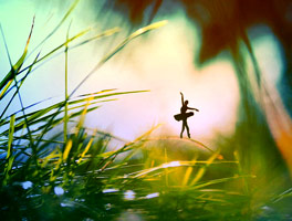 ddos压力测试网页端