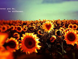 攻击网站在线工具